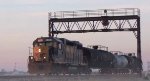 CSX L318